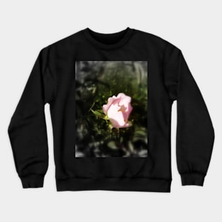 old-fashioned roses by Fox Creek & Columbia River 5 Crewneck Sweatshirt